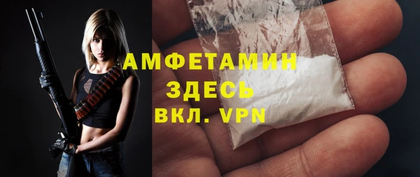 дмт Ельня