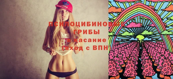 индика Балахна