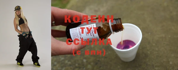 индика Балахна