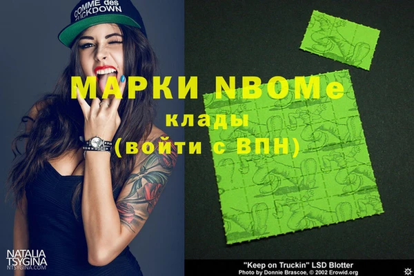 индика Балахна