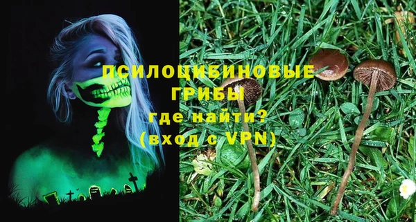молекула духа Баксан
