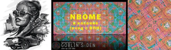 индика Балахна