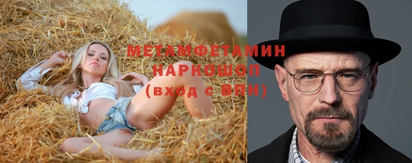 индика Балахна