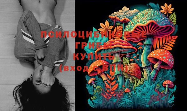 индика Балахна